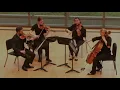 Beethoven String Quartet Op. 59, No. 2 in E minor - Callisto Quartet