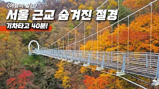 🚅 40분이면 도착! 5분만 올라가면 절벽 위 정자, 7m 명주실 폭포까지 | 6.3km 단풍 데크길 + 45년 전통 맛집 | 📸 대중교통 당일치기 여행 썸네일