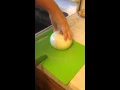 blooming onion