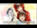 Download Lagu Hataraku Saibou (Cell at work!) Ending sub español