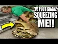 20 FOOT GIANT SNAKE CLEANING SLIGHT ISSUE BRIAN BARCZYK