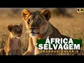 Download Lagu África Selvagem, Grandes Safáris! #serengeti #maasaimara #okavango #animals #documentário #selvagem