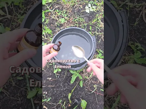 Ложка на ведро воды и земля, как новая, здоровая, плодородная