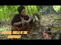 Download Lagu Alone Survival:🪓🏹🔥 Digging In The Forest soil To Find A Type Of Root That Can Be Used As Food