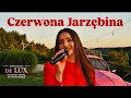 Lagu Czerwona Jarzębina - DE LUX 2025 (DYSTANS) Weselne Hity🎵