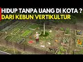 Download Lagu HIDUP TANPA UANG DARI KEBUN VERTIKULTUR DAN TERNAK DI LAHAN SEMPIT DEPAN RUMAH | CERITA USAHA