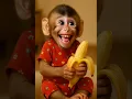 Download Lagu monkey eating banana 🍌