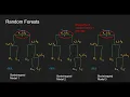Lesson 10 - Machine Learning Models Final Project PyCode ML