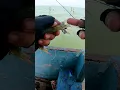 Download Lagu Tips dan Trik‼️‼️ Pasang Umpan Udang Hidup \u0026 Timah Pemberat, Mancing Barramundi di rumpon yg berarus