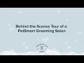 Behind the Scenes at PetSmart Grooming Salons