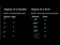 Polynomials College Algebra