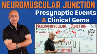 Neuromuscular Junction | NMJ | Clinical Correlation