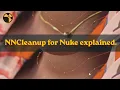 NNCleanup for Nuke explained