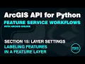 Display Labels for a Feature Layer in ArcGIS Online using the ArcGIS API for Python Label Class