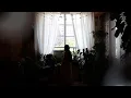 Download Lagu Love Languages - EMA (Official Music Video)