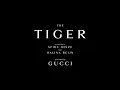 Download Lagu Arrivals at The Tiger Premiere
