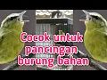 Download Lagu Pancingan Pare Pare/Cikrak Daun bahan