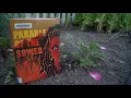 PARABLE OF THE SOWER A GRAPHIC NOVEL ADAPTATION by Octavia Butler Damian Duffy and John Jennings