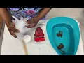 Collecting a Stool Specimen