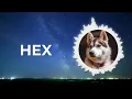 Different Heaven - Euphoria [HEX Promotion]