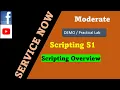 ServiceNow Scripting Session 1 Scripting Overview ServiceNow Scripting