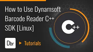 How to Use Dynamsoft Barcode Reader C SDK Linux Dynamsoft Tutorial