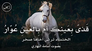 قذى  بع ينك  أ م بالع ين  ع وار    بصوت أسامة النهاري   الخنساء ترثي أخاها صخر دندنها