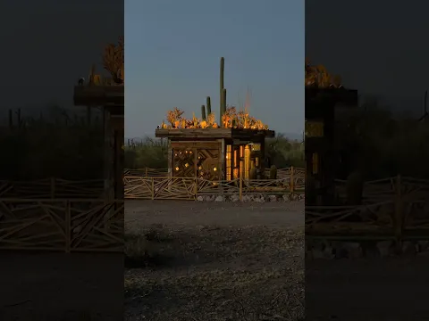 A cactus garden floats above a desert constellation