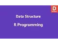 R Programming Data Structure