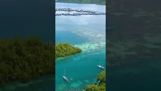Risking Reefs To Meet Jago, World Famous Bajau Free Diver