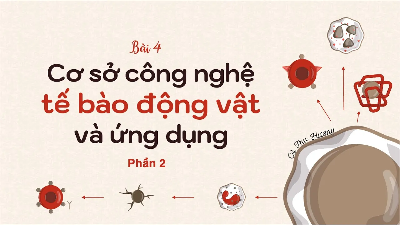Outline Video Bài 4. Cơ sở công nghệ tế bào động vật và ứng dụng (P2) - Sinh học 10 - Chuyên đề- Cánh diều - OLM