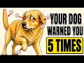 Your Dog Warned You 5 Times You Missed Them