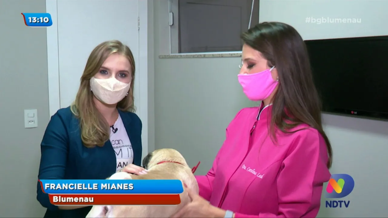 Cuidados necessários com alergias em cachorros