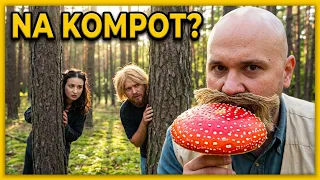Czego NIE MÓWIĄ Grzybiarze! 🍄
