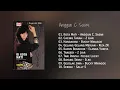Lagu Anggun C Sasmi - Album Single Hits \