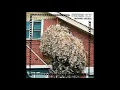 Surprise Chef - Deadlines