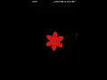 Simple flower design using turtle module Python
