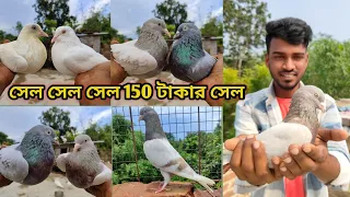 খোপের সেরা সেরা কিছু কবুতর সখ করা লাম ❤️‍🔥🕊🤩