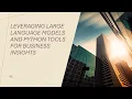 Leveraging LLM Models and Python Tools for Business Insights