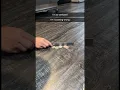 Coin puzzle