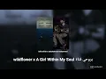 Download Lagu wildflower x A Girl Within My Soul بروحي فتاة (billie eilish x abdulrahman mohammed)