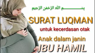 Download surat Luqman untuk kecerdasan otak anak dalam janin ibu hamil MP3