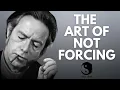 Lagu Don't Force Anything - Alan Watts