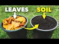 The Clever Way Smart Gardeners Make Amazing Soil