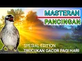 Download Lagu TRUCUK GACOR PAGI HARI PANCINGAN dan MASTERAN TRUCUKAN agar RAJIN BUNYI