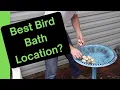 Finding Feathered Nirvana The Ultimate Guide to Bird Bath Placement