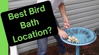 Finding Feathered Nirvana The Ultimate Guide to Bird Bath Placement