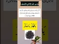 Download Lagu Dushman ka Amal | wazifa for dushman zair krna