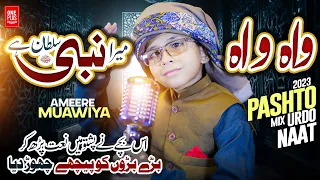 New Latest Pashto Naat 2023 Wah Wah Sumra Khaista Nabi Sultan Dy By Ameer Muawiya امیر معاویہ 