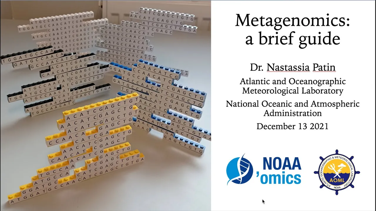 A Brief Guide to Metagenomic Sequence Analysis